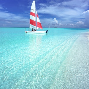 Eiffel Tower in Paris