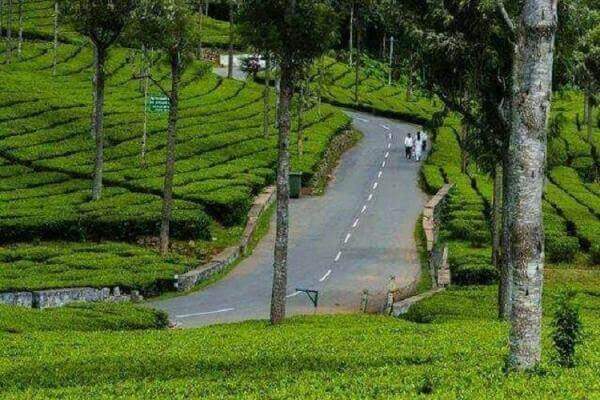 Ooty & Kodaikanal